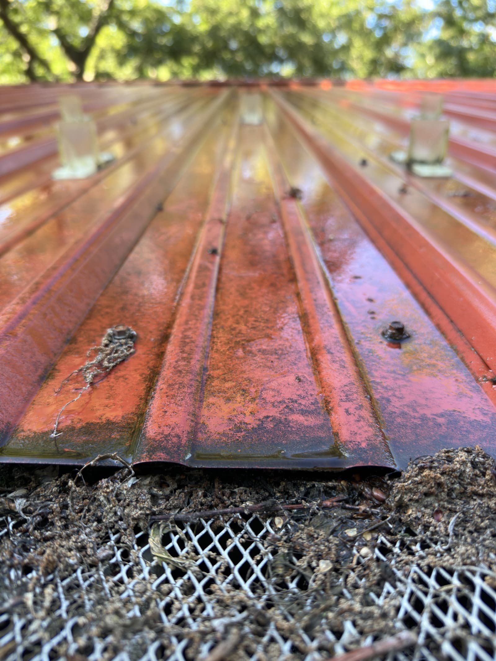 Close-up of dirty metal roof with debris and rust stains